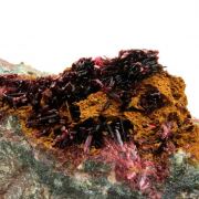 Erythrite + Phlogopite.