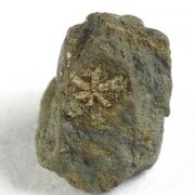 Muscovite (pseudo Cordierite)