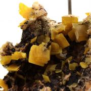 Wulfenite.