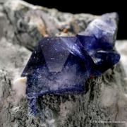 Benitoite with Joaquinite