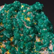 Dioptase with Wulfenite