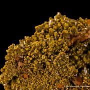 Pyromorphite