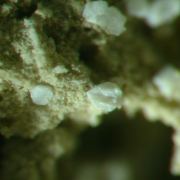 Prehnite casts after Anhydrite w/“Phacolite” twinned Chabazite & Pumpellyite