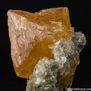 Scheelite with Muscovite