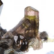 Tourmaline / (Fluor-Liddicoatite)