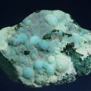 Gem Chrysocolla with Malachite and Tenorite