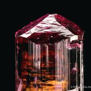 Fluor-liddicoatite Tourmaline