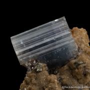 Apatite on Muscovite