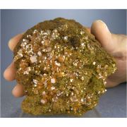 Wulfenite