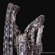 Schorl Tourmaline with natural bend