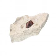 Brookite