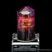 Fluor-liddicoatite Tourmaline