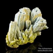 Plumbogummite ps Pyromorphite