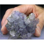 Fluorite, Pyrite, Calcite