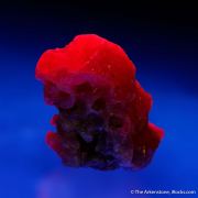 Corundum var. Ruby