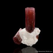 Tourmaline on Feldspar