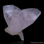 Calcite var. Manganoan (butterfly-twinned)