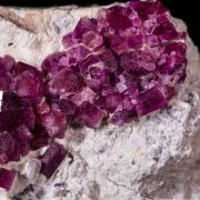 Beryl var. Red Beryl