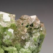 gem GARNET var. GROSSULAR with GREEN CHROMIAN PHANTOMS, DIOPSIDE