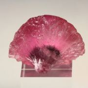 TOURMALINE var. RUBELLITE - floater