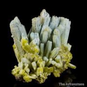 Plumbogummite ps Pyromorphite