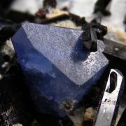 Neptunite with Benitoite