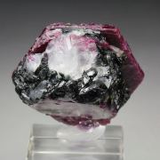 CORUNDUM var. RUBY, MUSCOVITE