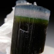 Hambergite on Tourmaline