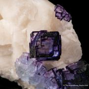 Fluorite on Calcite (1974 pocket)