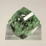 gem GARNET var. GROSSULAR var. TSAVORITE - floater