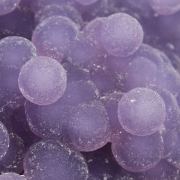 Quartz / (variety - Chalcedony) / (variety - Agate) / (Grape Chalcedony / Grape Agate)