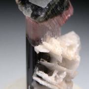 Tourmaline with Albite