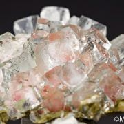 Apophyllite