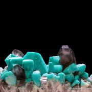 Microcline var. Amazonite with Smoky Quartz