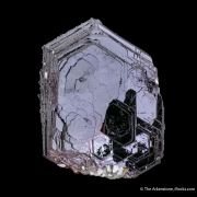 Hematite Rose with Muscovite??