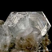 Beryl var. Aquamarine with Muscovite