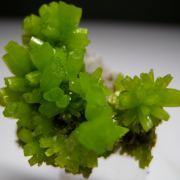 Pyromorphite