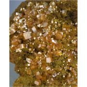 Wulfenite