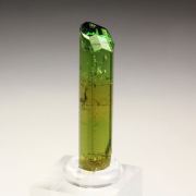 gem TOURMALINE var. DRAVITE