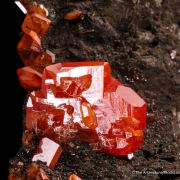 Wulfenite