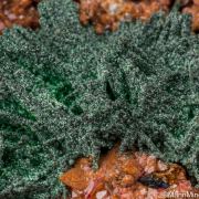 Kolwezite/Malachite Pseudomorphs