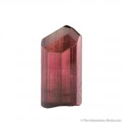 Elbaite Tourmaline var. Rubellite