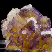 Fluorite with Calcite and Chalcopyrite