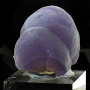 Botryoidal Fluorite.