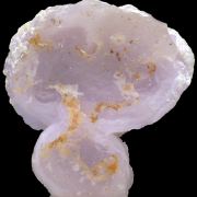 Quartz var. chalcedony