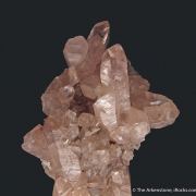 Cobaltian Smithsonite