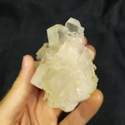 HALITE - Poland