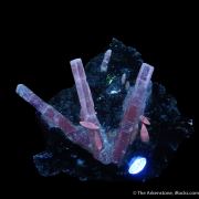 Calcite (fluorescent) on basalt