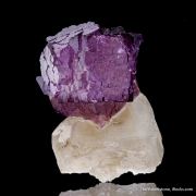 Fluorite on Calcite