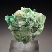 gem VESUVIANITE var. CHROMIAN, DIOPSIDE